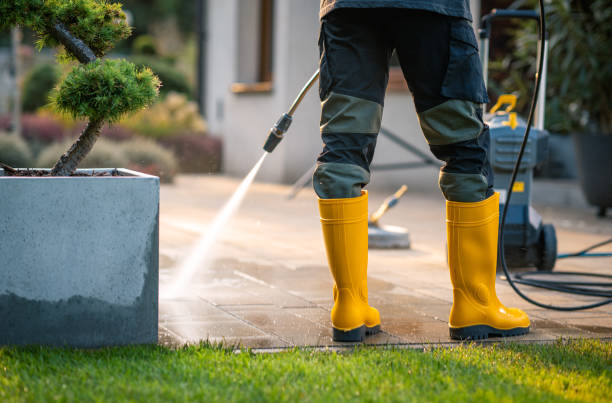 Best Seasonal Cleaning Services in Quarryville, PA